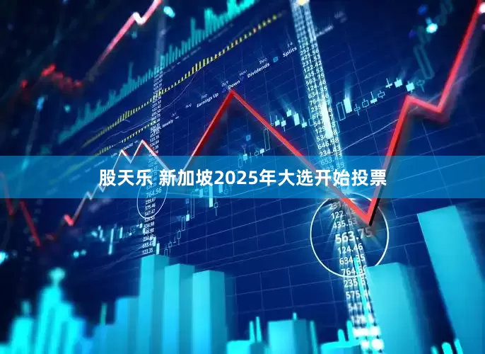 股天乐 新加坡2025年大选开始投票