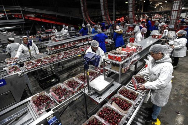 纪源优配 从车厘子到光伏电站，中拉经贸让“地球两端”不再遥远