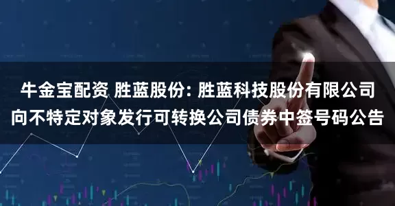 牛金宝配资 胜蓝股份: 胜蓝科技股份有限公司向不特定对象发行可转换公司债券中签号码公告